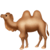 :camel: