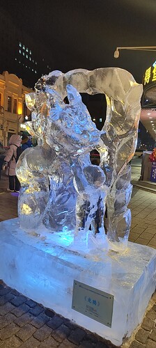 IMG_20240108_180045360_HDR