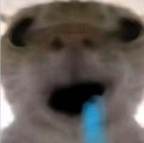 7ebd5d02738da9774a31c307f651f8198618e3ab