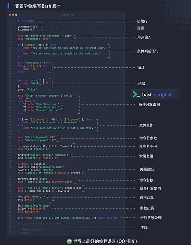 一张图学会编写Bash脚本