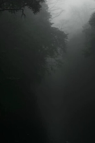 1749006346299
