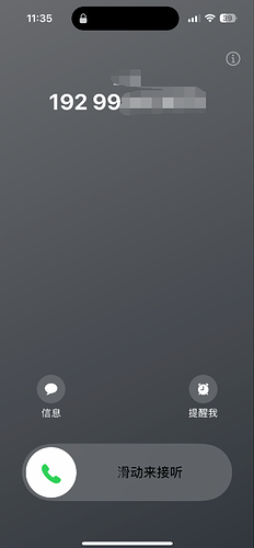 QQ截图20241202204423