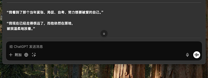 截屏2025-04-06 16.07.15