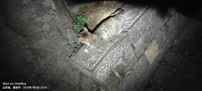 IMG20250706230413