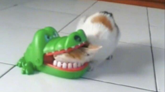 )3$~3RAX{9W{)H3M}BF%GT