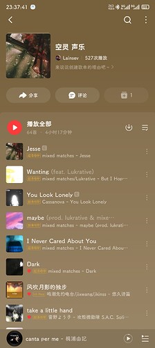 Screenshot_2025-04-27-23-37-42-116_com.netease.cloudmusic