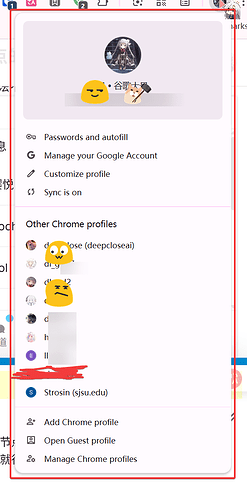 chrome_An1hk78BsC