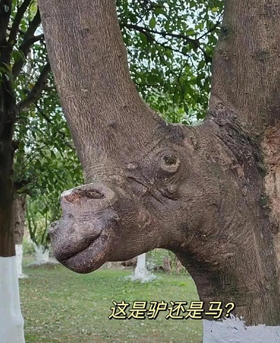 66