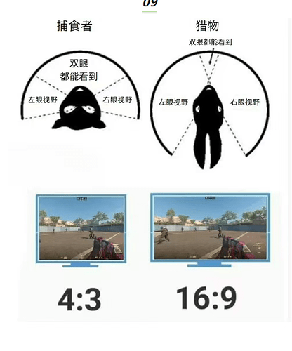 39