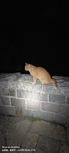 IMG20250706230824