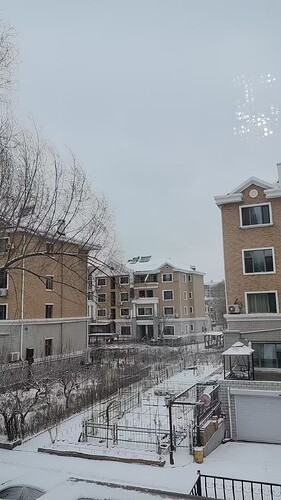 IMG_2301