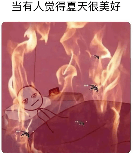 43