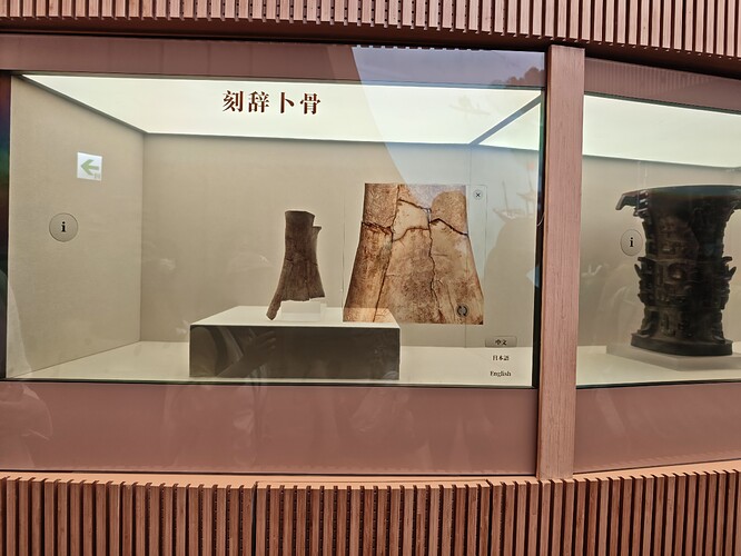 MVIMG_20250423_112625