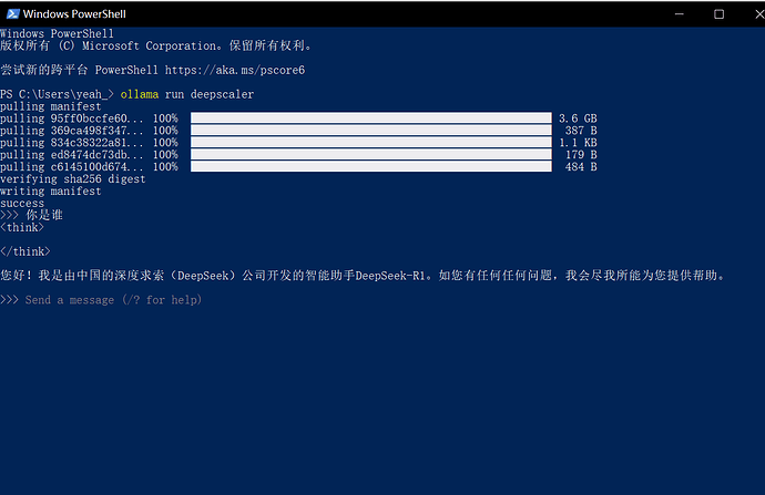 DeepScaleR 模型