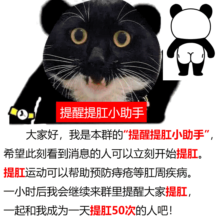 提醒提肛小助手