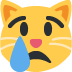 crying_cat