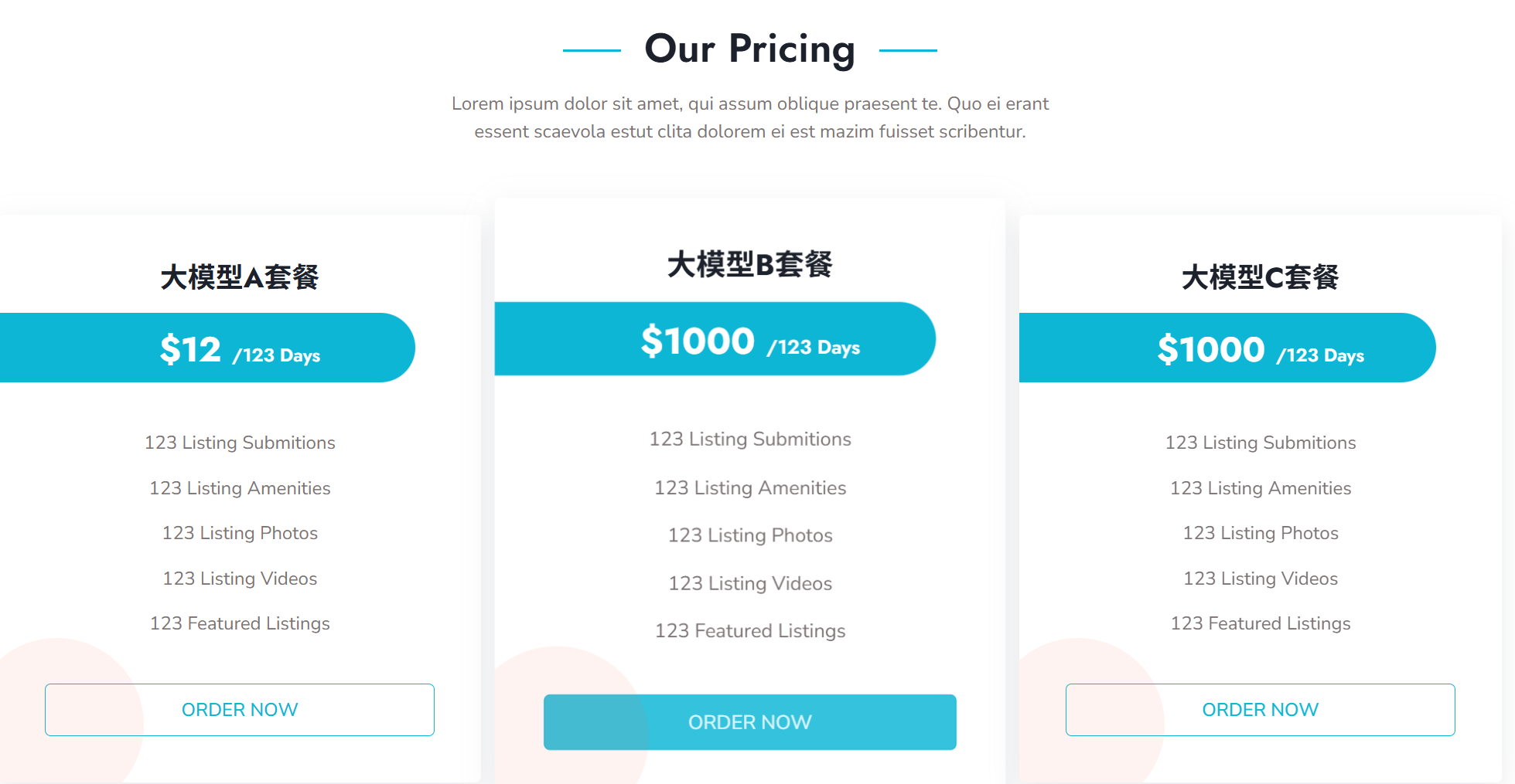 支付集成界面